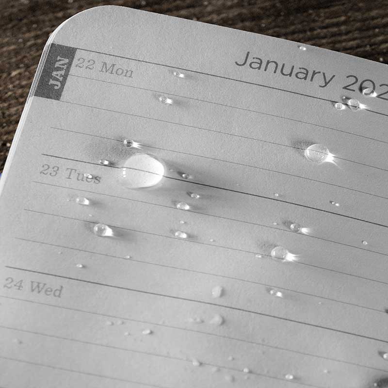 Pocket calendar dates page.